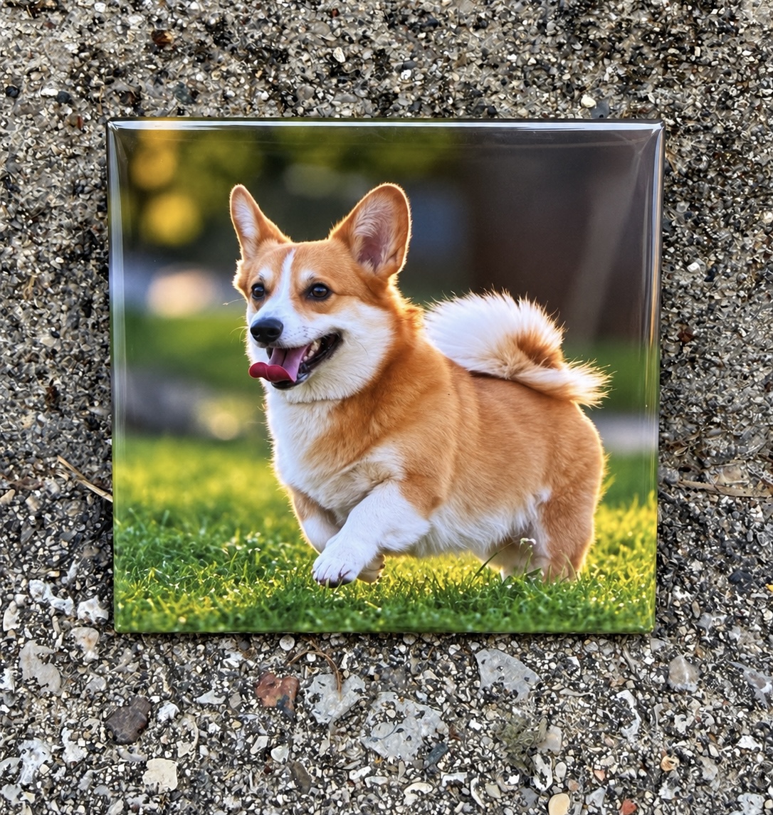 A glossy photo magnet of a happy corgi